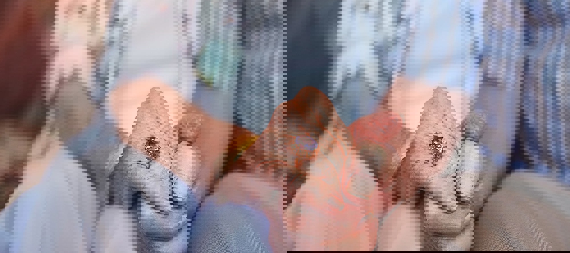 Two people holding hands.